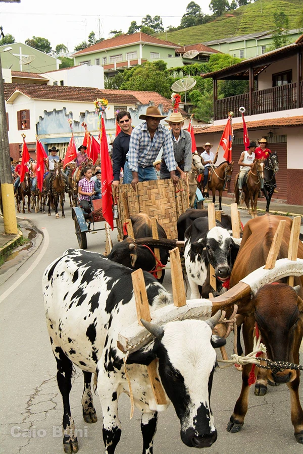 Fotografia Photography Documentary popular culture